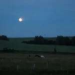 Urlaub Auf Dem Bauernhof * Plath
