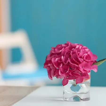 Apartamento Urlaub Auf Dem Bauernhof Plath