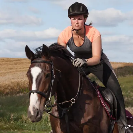 Urlaub Auf Dem Bauernhof