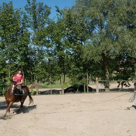 Apartment Urlaub Auf Dem Bauernhof Plath