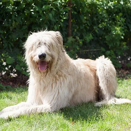 Urlaub Auf Dem Bauernhof * Plath