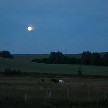 Urlaub Auf Dem Bauernhof * Plath