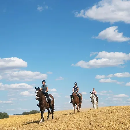 Urlaub Auf Dem Bauernhof * Plath