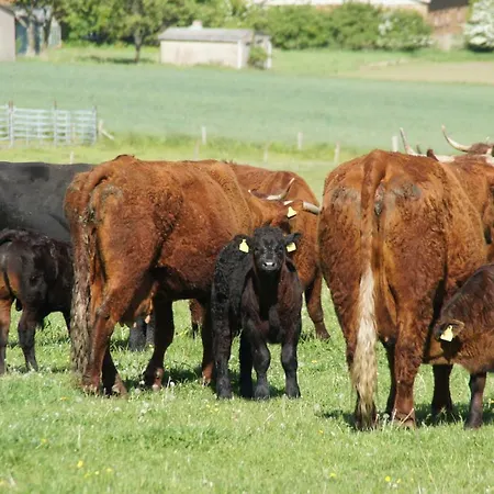 Apartment Urlaub Auf Dem Bauernhof Plath