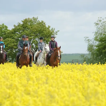 Urlaub Auf Dem Bauernhof Apartment Plath