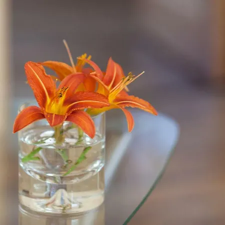 Urlaub Auf Dem Bauernhof Apartamento Plath